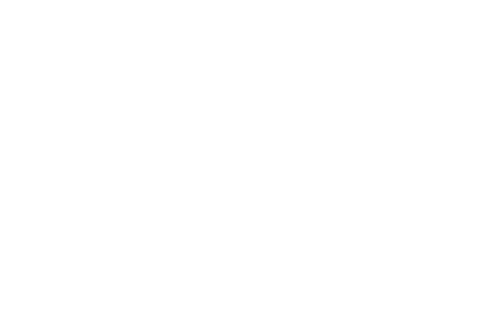 zebra finalist laurels