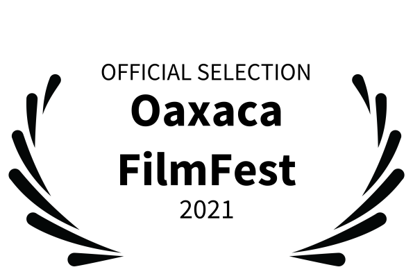 Oaxaca Award - Zebra Syndrome